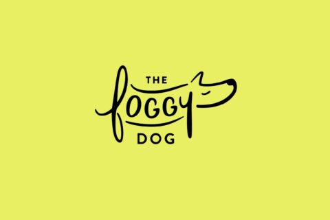 the-foggy-dog-brand-photography-email