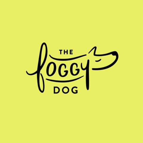 the-foggy-dog-brand-photography-email
