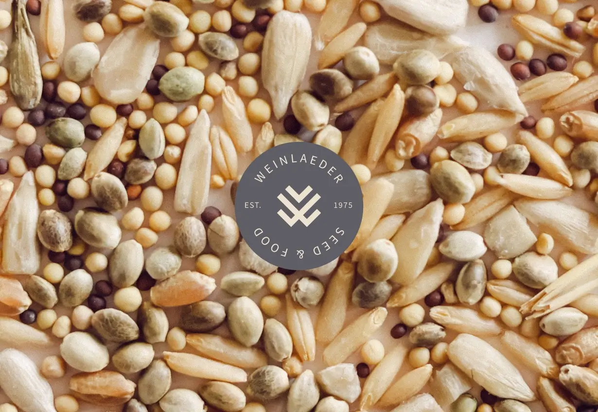 farm logo design on seed background